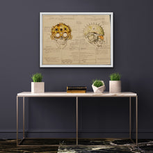 Load image into Gallery viewer, Helmets