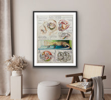 Load image into Gallery viewer, Les Yeux