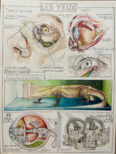 Load image into Gallery viewer, Les Yeux