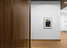 Load image into Gallery viewer, Blue-crowned Motmot